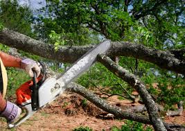 Lawn Irrigation Installation and Maintenance in Newport, NC